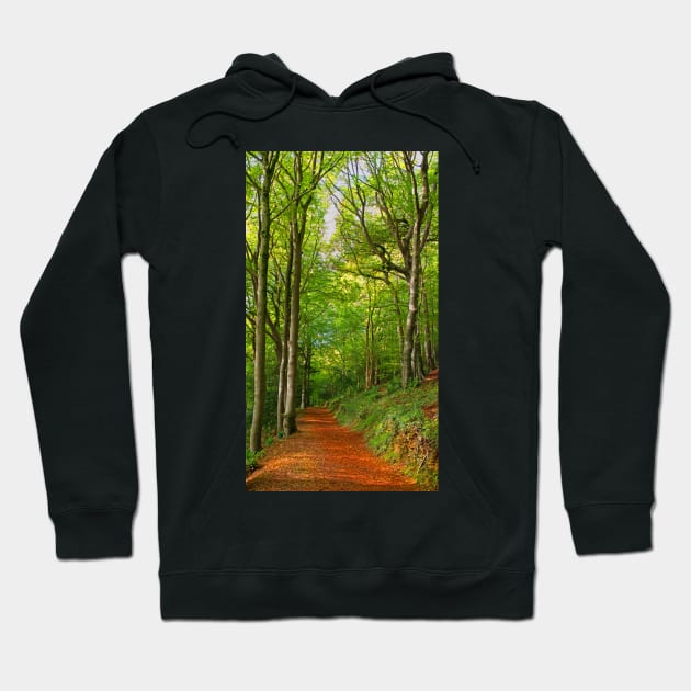 Cotswolds Forest Footpath Hoodie by Graz-Photos